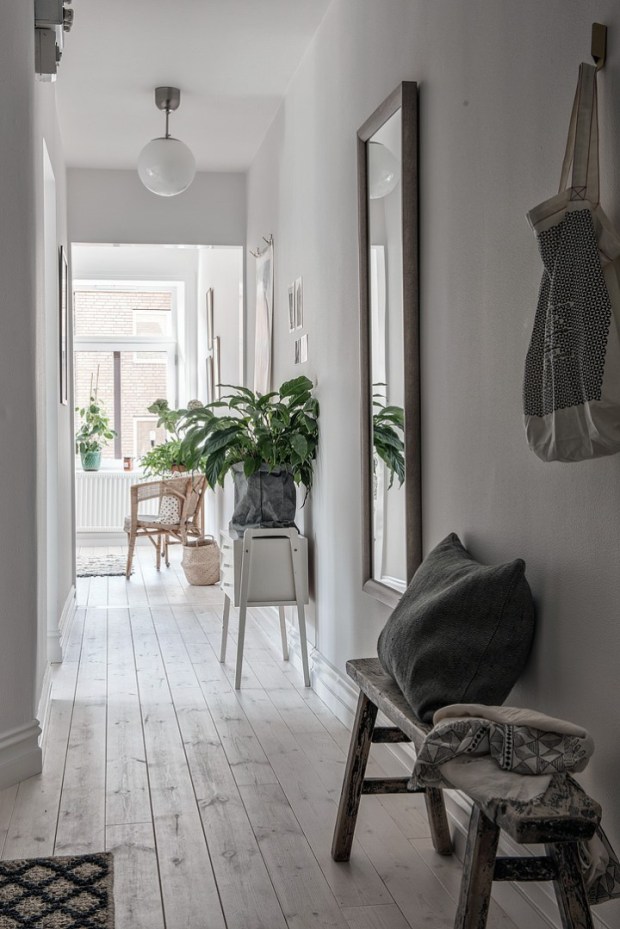 uno de los beneficios de las plantas es la humedad que aportan