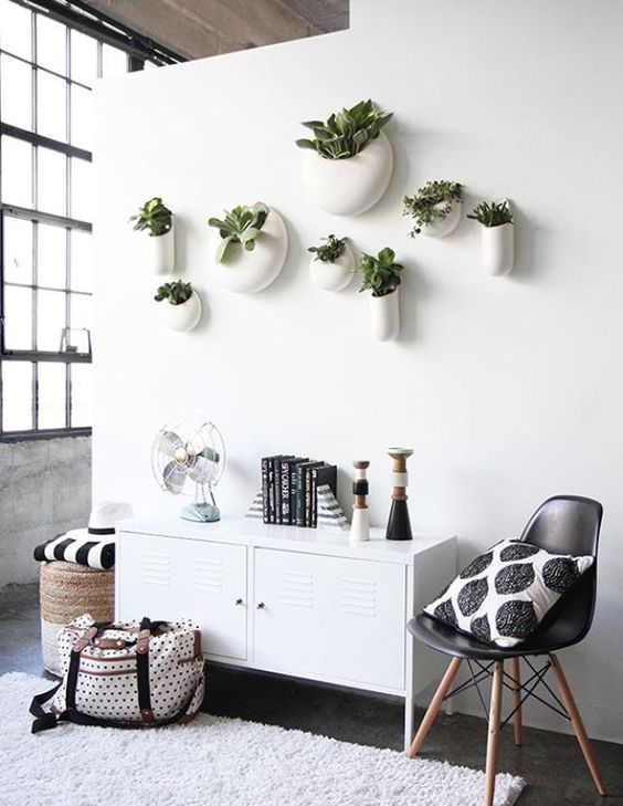 las plantas también regulan la temperatura ambiental