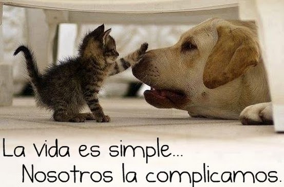 se feliz con menos cosas