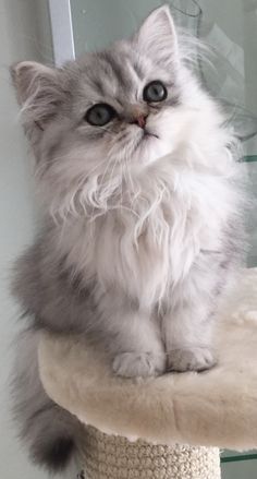 No necesitas hacer cosas maravillosas